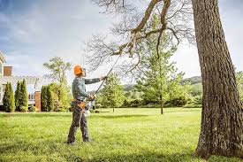 Frankfort Square, IL  Tree Services Company